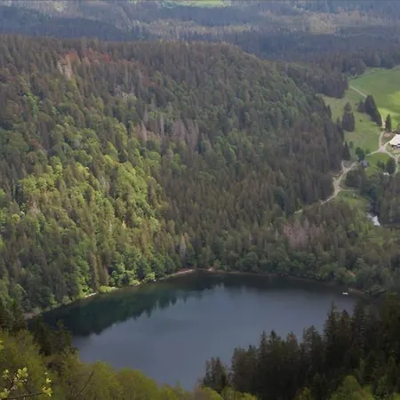 Schwarzwald * Hinterzarten
