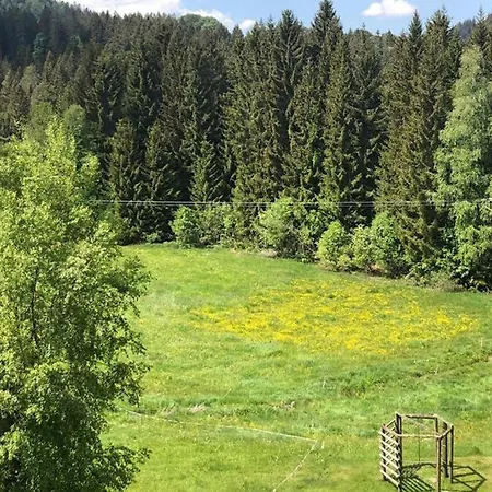 Schwarzwald Διαμέρισμα Hinterzarten
