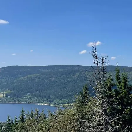 Schwarzwald