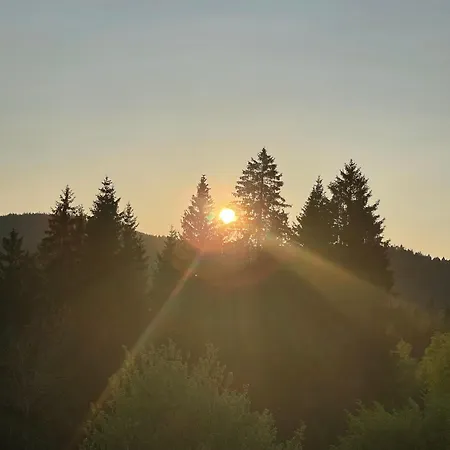 Apartamento Schwarzwald