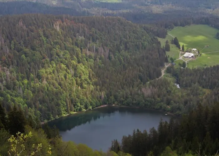 Schwarzwald * Hinterzarten