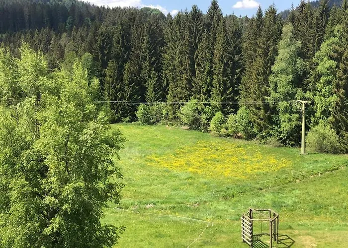 Schwarzwald Apartament Hinterzarten